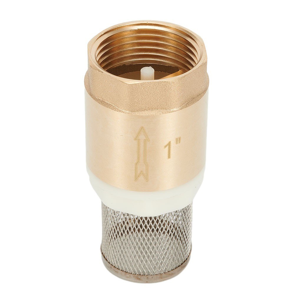 Brass Foot Valve DN25 & Check Valve Stainless Steel Basket Suction Basket