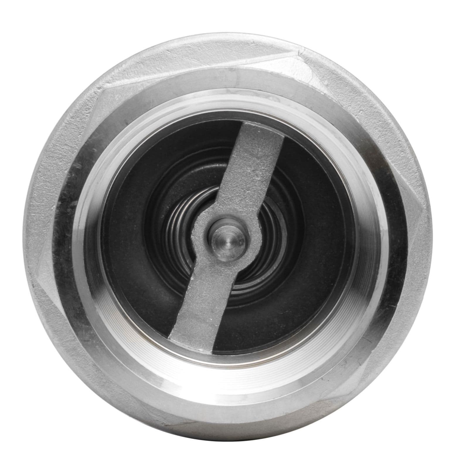 2″ S.S. (316) In Line Spring Check Valve
