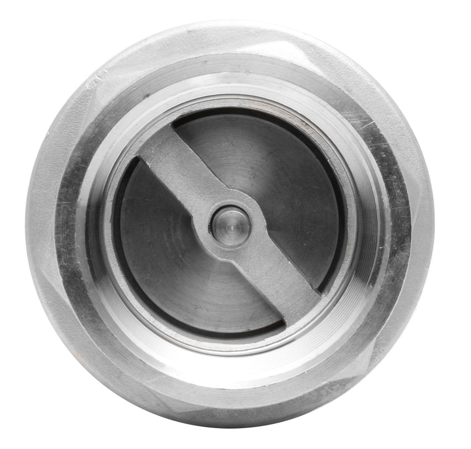 2″ S.S. (316) In Line Spring Check Valve