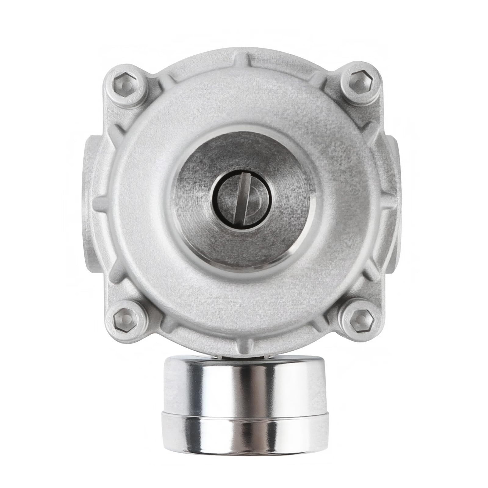 Adjustable Water Pressure Regulator Valve with Gauge, 1/2″ NPT, 304 Stainless St