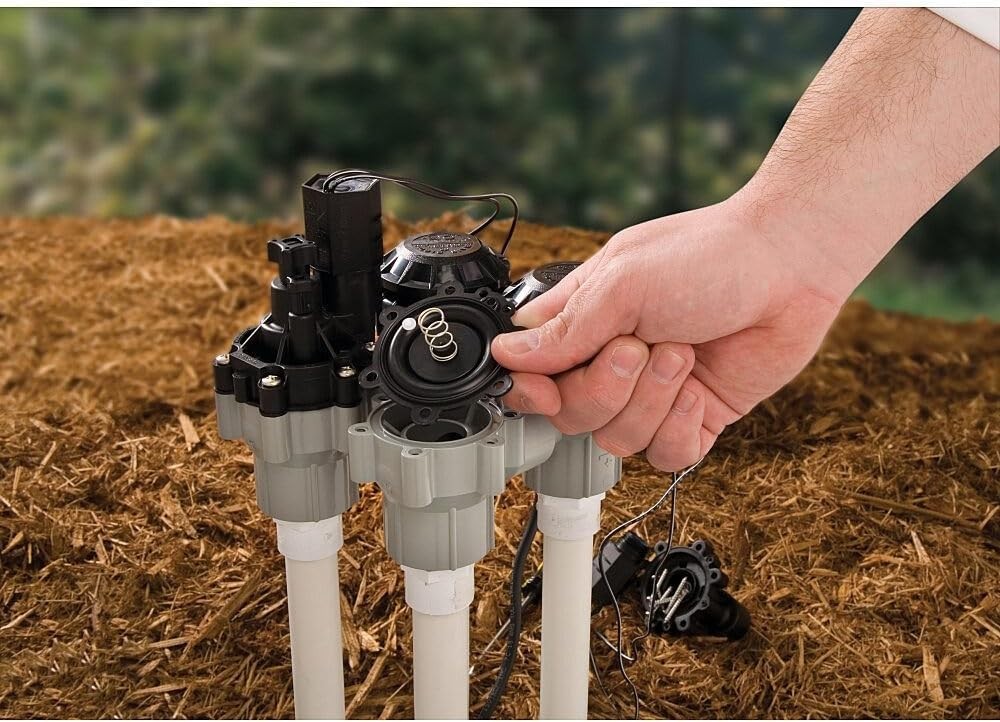 Rain Bird DASASVF075 Anti-Siphon Valve – Flow Control & Backflow Prevention
