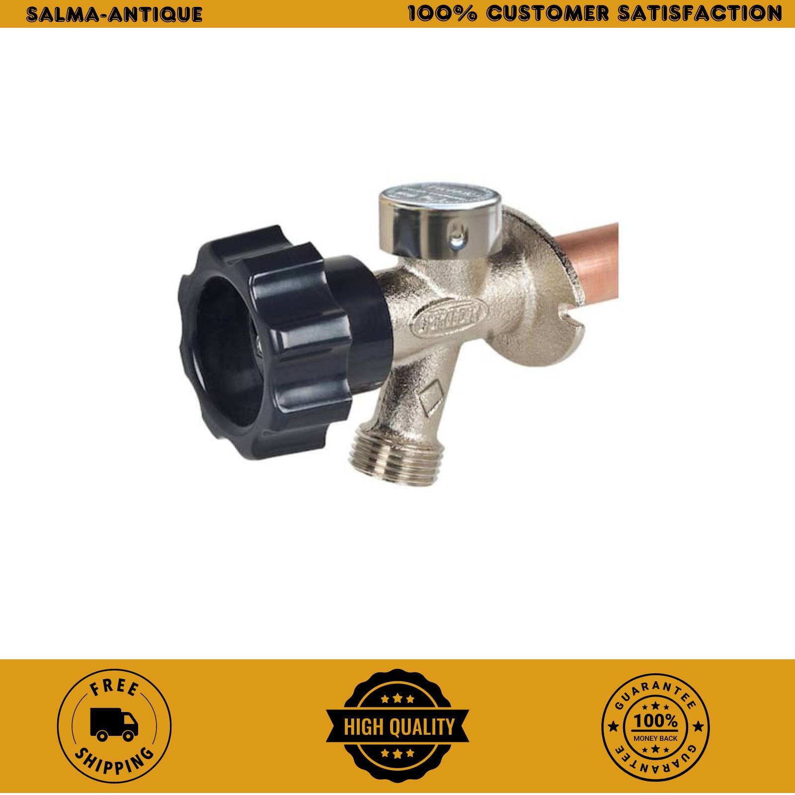 1/2 in. x 12 in. Brass MPT x SWT Half-Turn Frost Free Anti-Siphon Outdoor