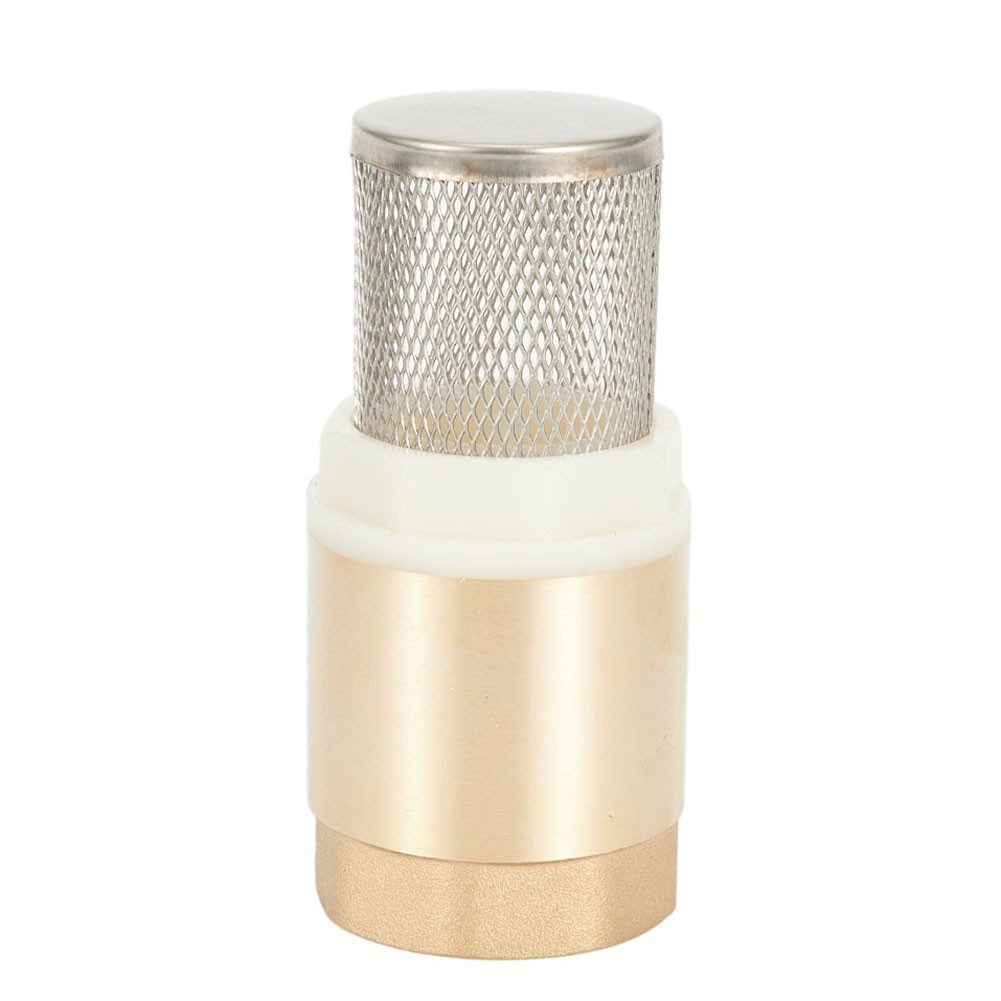 Brass Foot Valve DN25 & Check Valve Stainless Steel Basket Suction Basket