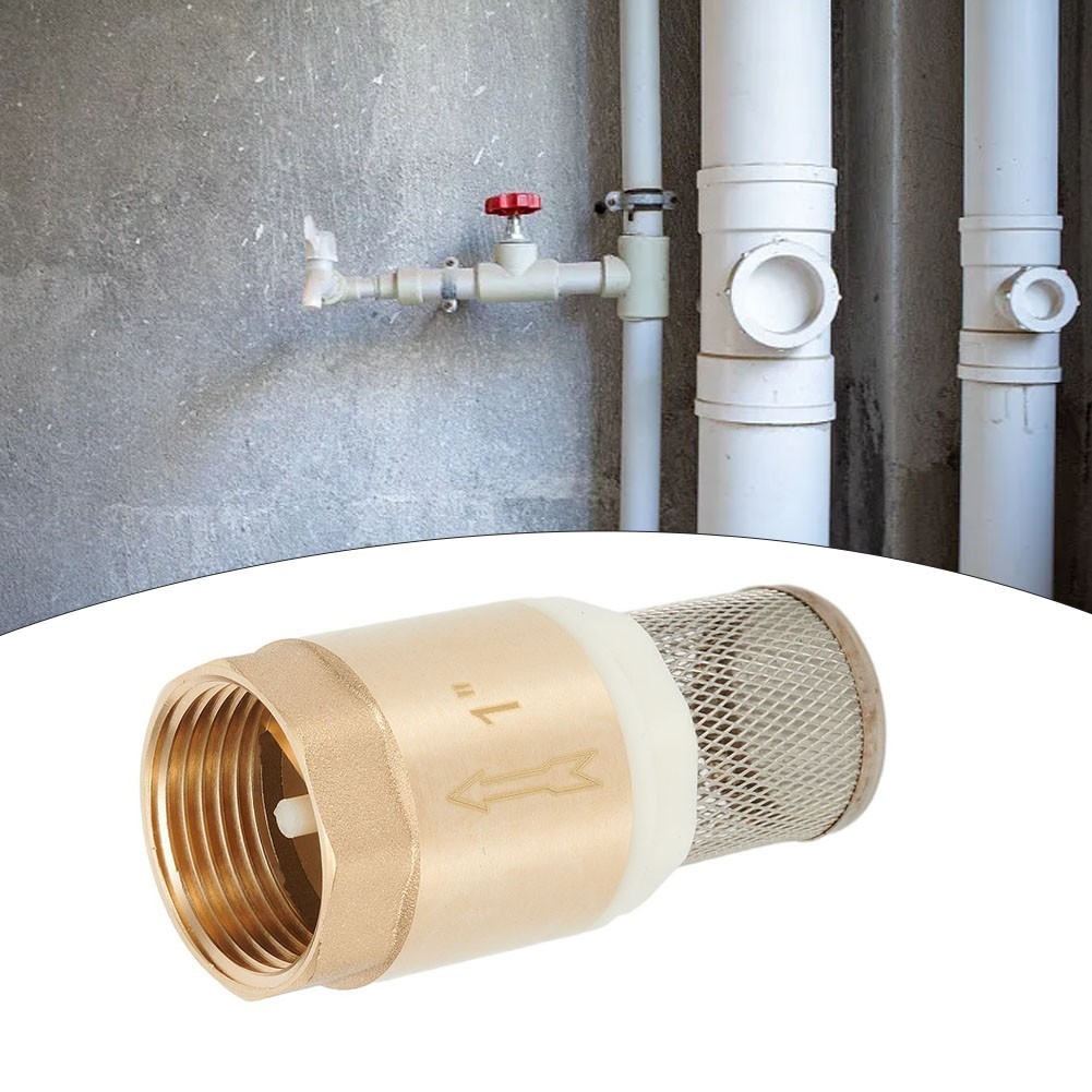 Brass Foot Valve DN25 & Check Valve Stainless Steel Basket Suction Basket