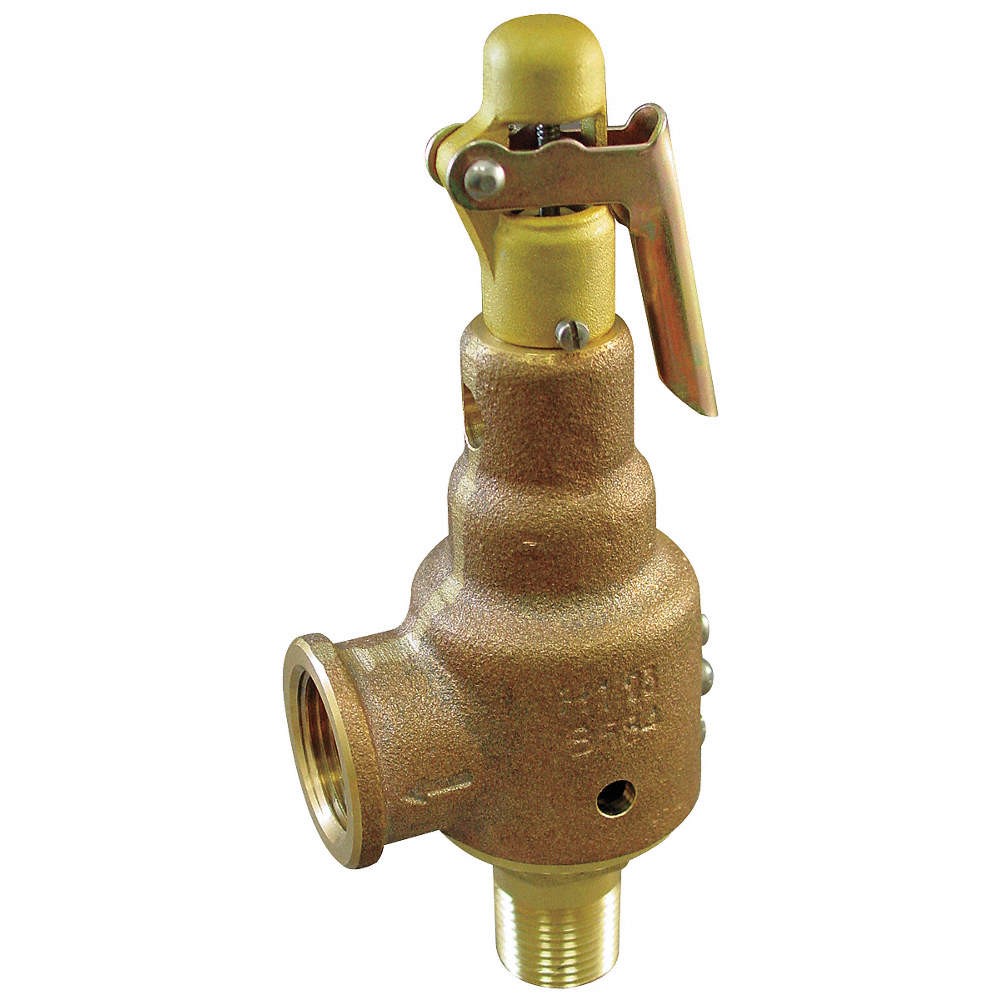 KUNKLE VALVE 6010EDE01-AM0050 Safety Relief Valve,3/4 x 1 In,50 psi 5NKX9