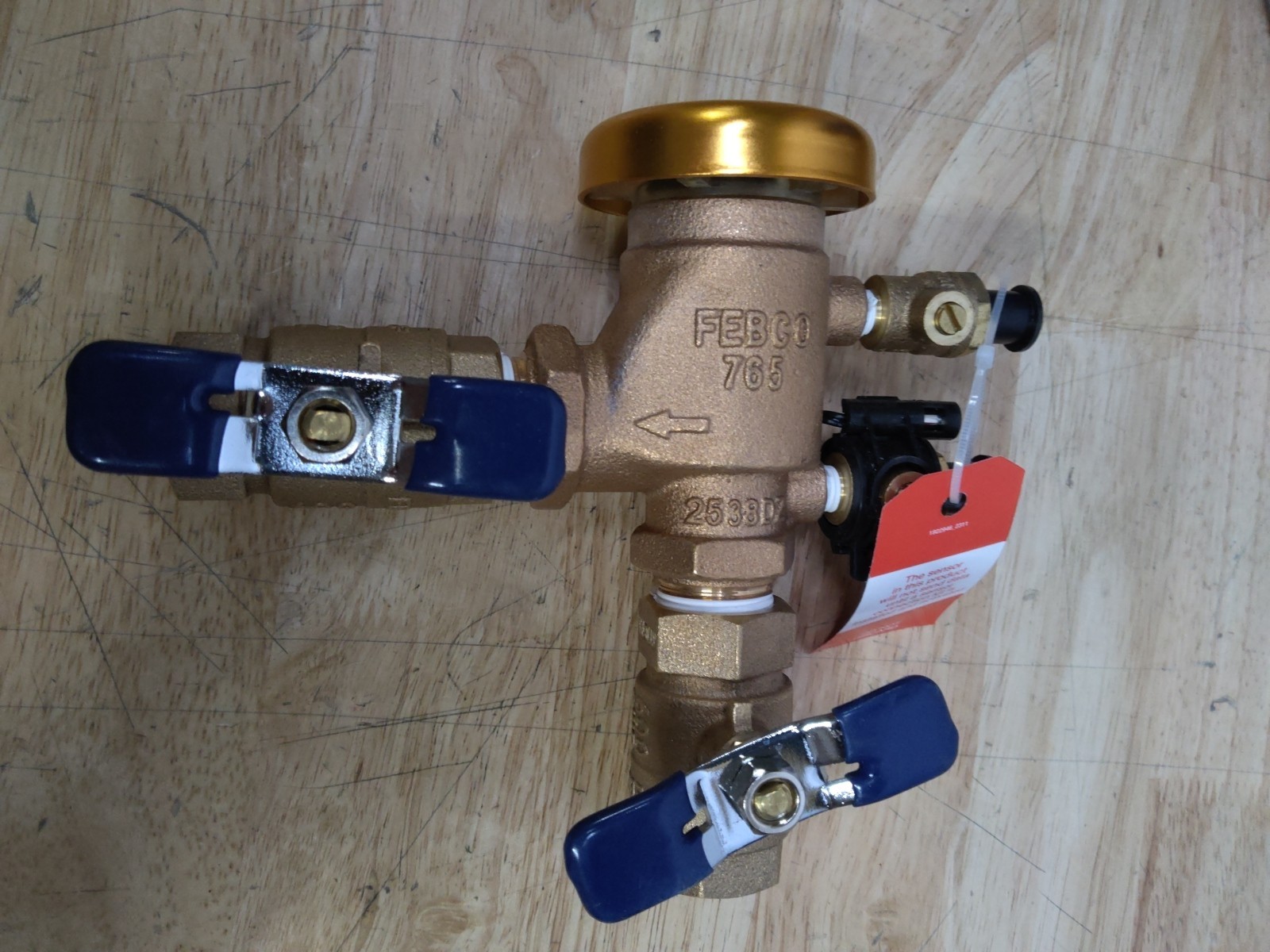 Febco 3/4 x 3/4 IN Bronze Pressure Vacuum Breaker with Freeze Sensor 765QTFZPVB