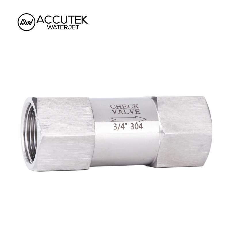 AW® 304 316 SS Check Valve One Way Non-retrun Valves Female Thread BSPP 300psi