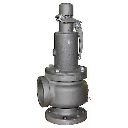 Apollo Valves 13101B10 Safety Relief Valve, 3/4 In, 10 Psi, Bronze